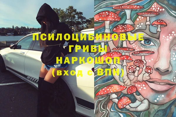 PSILOCYBIN Верея